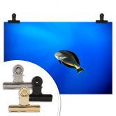 Poster Catta - Deep Ocean 