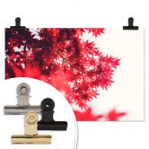 Poster Ahornbaum im Herbst 