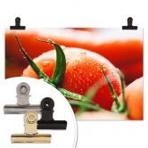 Poster Fresh Tomato 