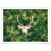 Poster Versteckspiel im Wald 