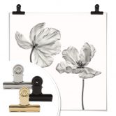Poster Grønkjær - Tulpenblüte 