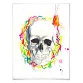 Poster Buttafly - Skull 