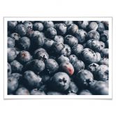 Poster Heidelbeeren 