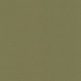 Rasch Vliesbehang Salsa khaki 