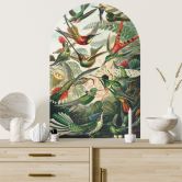 Wandtattoo Rundbogen Wandpaneel Kolibris - Haeckel - breit 