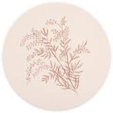Tak van acacia in mokkakleur | Botanicals Fotobehang - anijs illustratie - rond - vliesbehang/zelfklevend vliesbehang 