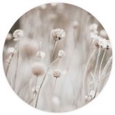 Papier peint fleurs séchées dans des tons doux - Annie - rond - papier peint intissé/papier peint intissé autocollant 