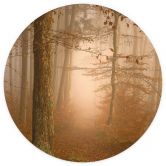 Papier peint brume et lumière dans la forêt d'automne - Maier - rond - papier peint intissé/papier peint intissé autocollant 