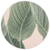 Papier peint photo rond Plante Calathea - Sisi & Seb - papier peint intissé/papier peint intissé autocollant 