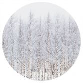 Wallsticker Birkeskov om vinteren - EMELIEmaria - Rund 