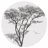 Wandtattoo Minimalistischer Baum in ruhiger Landschaft - Flour - Rund 