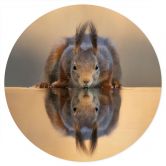 Wandtattoo Eichhörnchen am Wasser - van Duijn - Rund  