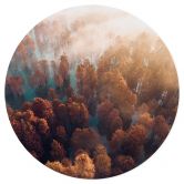 Wandtattoo Herbstwald im Nebel - Ioricon - Rund 