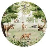 Sticker Mural Kikki Belle - Merveille de la forêt 