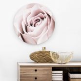 Alu-Dibond 1X Studio - Edelrose - Rund 