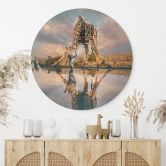 Wandbild Reflexion einer Giraffe in der Wildnis - Amtmann - Alu-Dibond Rund 
