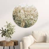 Wandbild Sommerwiese mit Kamille - Annie - Alu-Dibond Rund 