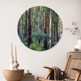 Wandbild Eukalyptuswald in den Yarra Ranges - Colombo - Alu-Dibond Rund 