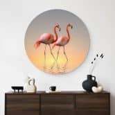 Wandbild Cseresnjes - Flamingos im Abendlicht - Alu-Dibond Rund 