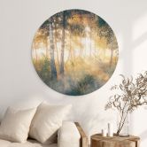 Wandbild Sonnenschein im Birkenwald - Alu-Dibond - Kado - Rund 