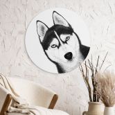 Rundes Wandbild Sibirischer Husky - Hundeporträt - Korenkova - Alu-Dibond 