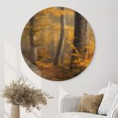 Wandbild Goldene Blätter im nebligen Wald - Maier - Alu-Dibond Rund 