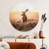 Wandbild Majestätischer Hirsch - Alu-Dibond Rund 