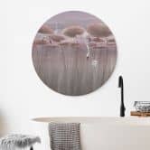 Wandbild Lotusblumen mit Schwan im Wasser in Altrosa - Ms Tiff - Alu-Dibond Rund 