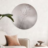 Wandbild Grashalm mit Tautropfen - Sillen - Alu-Dibond Rund 