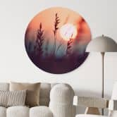 Wandbild Gräser im Licht der glühenden Sonne - Treechild - Alu-Dibond Rund 