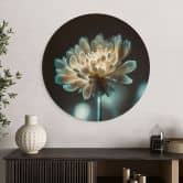 Wandbild Leuchtendes Blütenherz - Treechild - Alu-Dibond Rund 