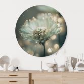 Wandbild Zartes Funkeln der Blüten - Treechild - Alu-Dibond Rund 
