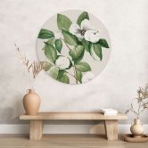 Wandbild Botanik Illustration einer Scheinkamelie - Walcott - Alu-Dibond - Rund 