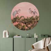Rundes Wandbild Zhao - Vogelpärchen im Sonnenuntergang - Alu-Dibond 
