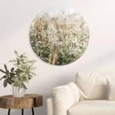 Glasbild Sommerwiese mit Kamille - Annie - Rund 