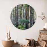 Glas billede Eukalyptus skov i Yarra Ranges - Colombo - Runde 