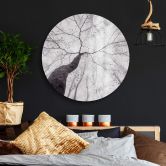 Glasbild Pavlasek - Ein Blick in die Baumkronen - Rund 