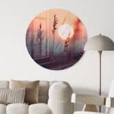 Glasbild Gräser im Licht der glühenden Sonne - Treechild - Rund 