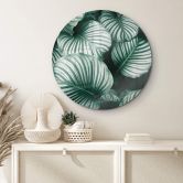 Glasschilderij Rond Urban Jungle - Calathea Orbifolia 