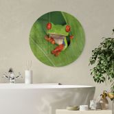 Glasbild Laubfrosch im Regenwald - van Duijn - Rund  