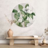 Glasbild Botanik Illustration einer Scheinkamelie - Walcott - Rund 