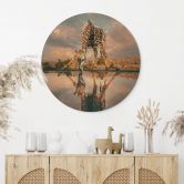Houten spiegelbeeld van een giraffe in het wild - Amtmann - Rond 