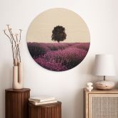 Holzbild Lila Lavendelfelder bei Sonnenuntergang - Cevik - Rund 