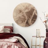 Holzbild Pusteblume Close Up - Rund 