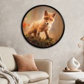 Poster Adamec - Junger Fuchs im Wald - Rund 
