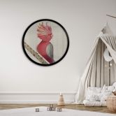 Poster Braun - Rosakakadu - Rund 