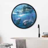 Plakat Delfiner under vand - rund 
