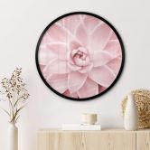 Poster Sisi & Seb - Rosa Sukkulente - Rund 
