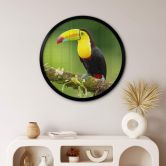 Poster van Duijn - Fischertukan in Costa Rica - Rund 