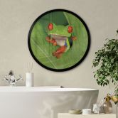 Poster Laubfrosch im Regenwald - van Duijn - Rund  